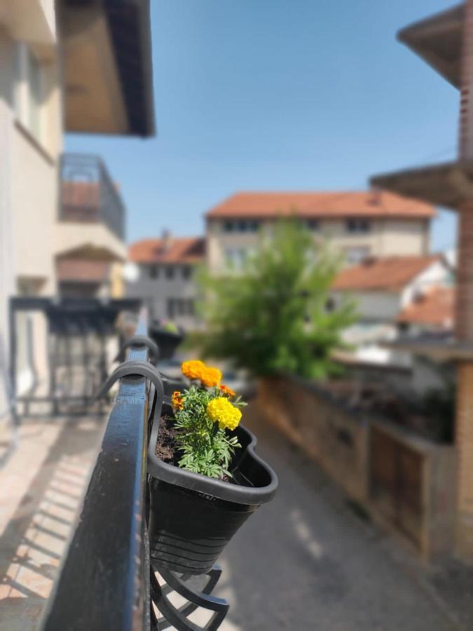 Moonlight Hostel Prishtinë Ngoại thất bức ảnh